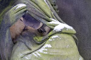 undercliffe jan 7 2011 image 5 sm.jpg